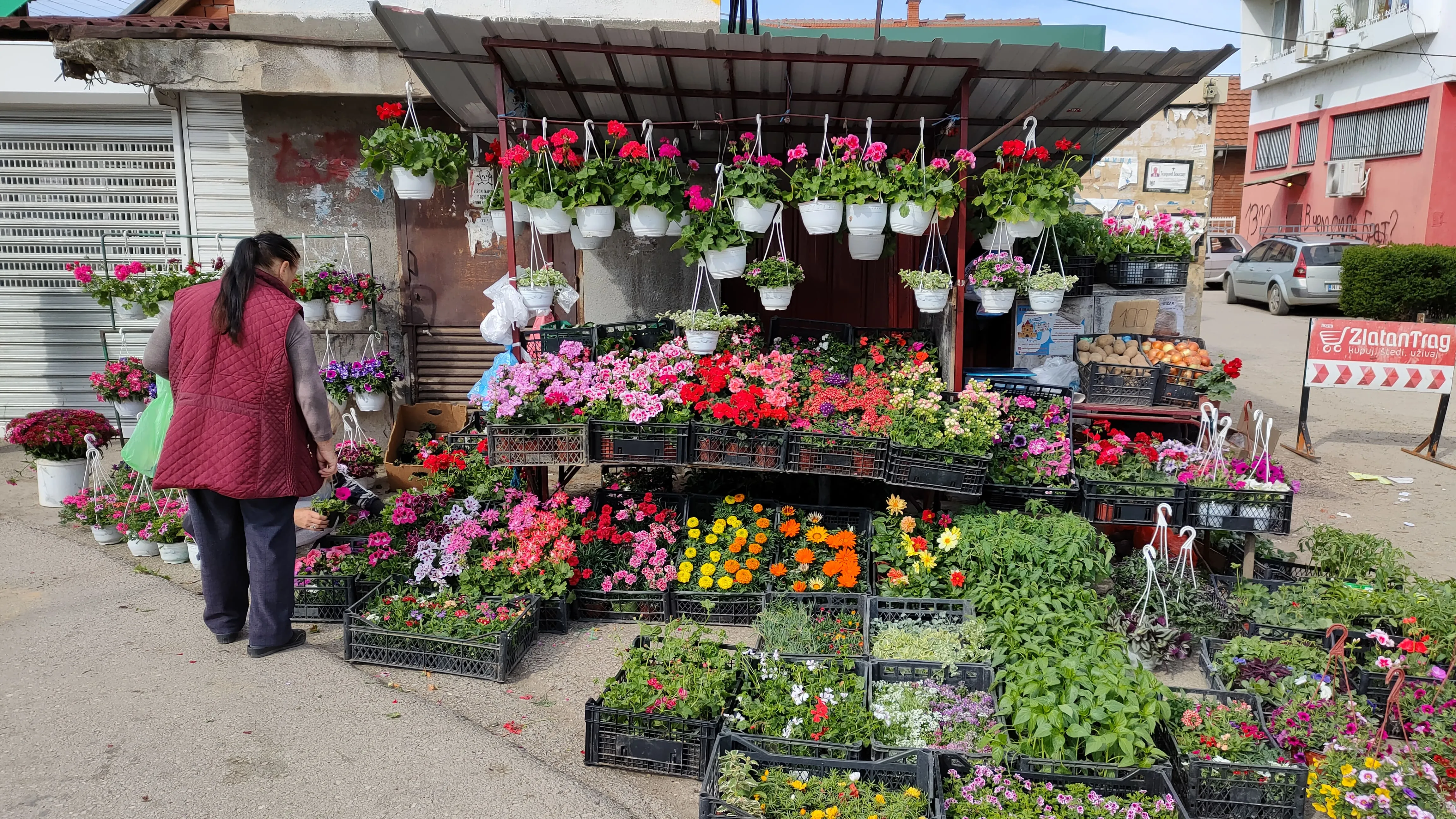 Flowers store